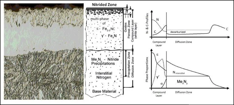 Diagram of a nitrided layer's structure